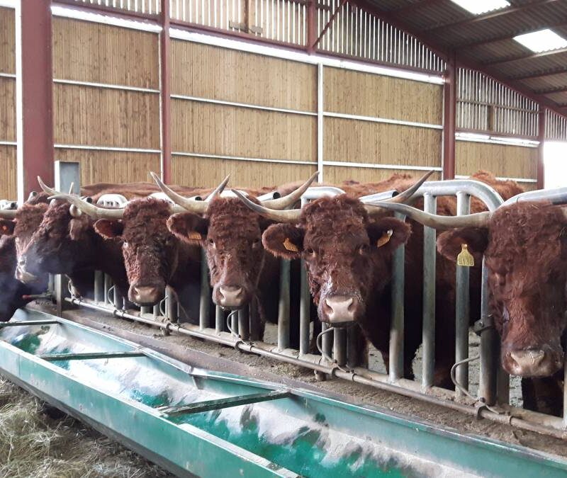 20171209_113528 800X675 | Ferme De Merlinsol Photos page d’accueil Pont-à-Mousson 3