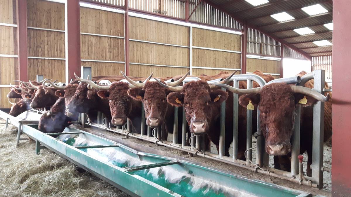 20171209_113528 | Ferme De Merlinsol Foire Artisanale et Rurale à Delme! Pont-à-Mousson
