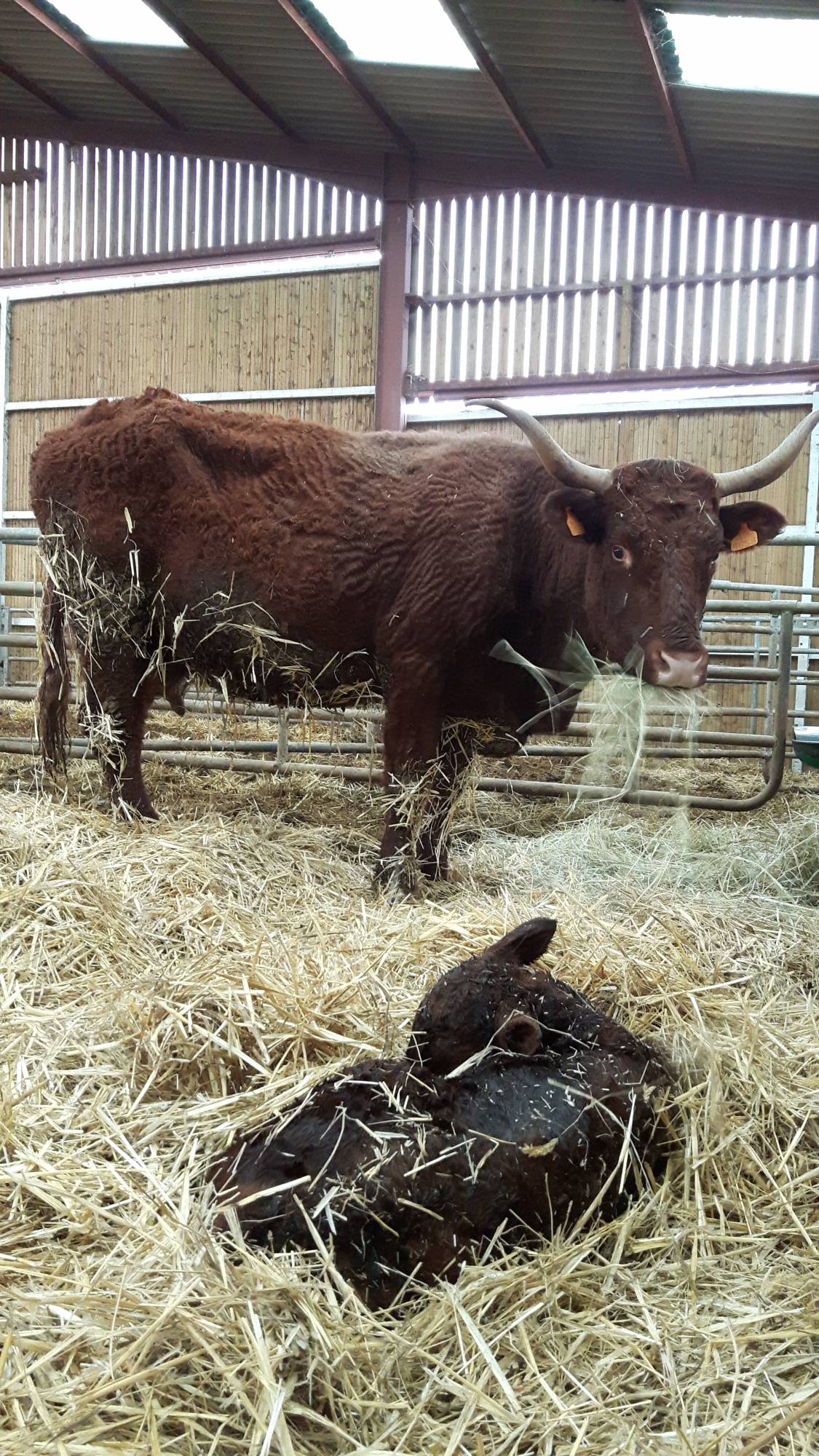 20180315_122133 | Ferme De Merlinsol Le Printemps à Chambrey Saint-Max