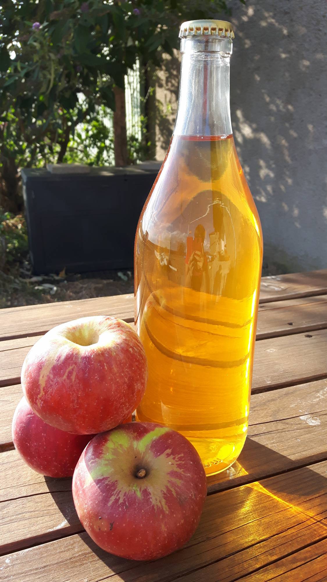 20180912_174437 | Ferme De Merlinsol Nouveau à la Ferme de Merlinsol secteur Lunéville, Nancy et Metz: Vente de jus de pomme Saint-Max