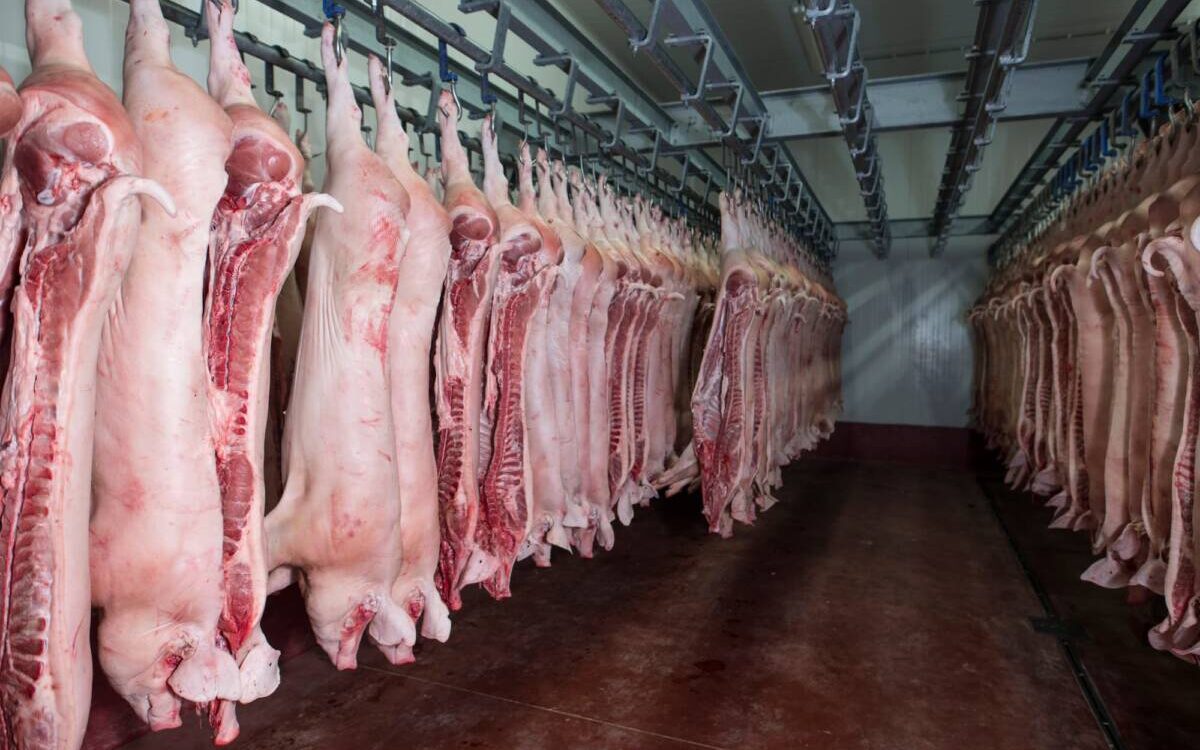 Colis de viande prestige pour l&rsquo;hiver secteur Ch&acirc;teau-Salins, Lun&eacute;ville, Nancy et Metz Villers-l&egrave;s-Nancy