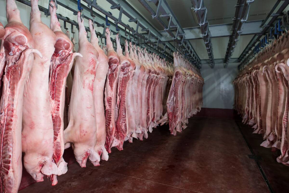 Colis de viande prestige pour l&rsquo;hiver secteur Ch&acirc;teau-Salins, Lun&eacute;ville, Nancy et Metz Villers-l&egrave;s-Nancy