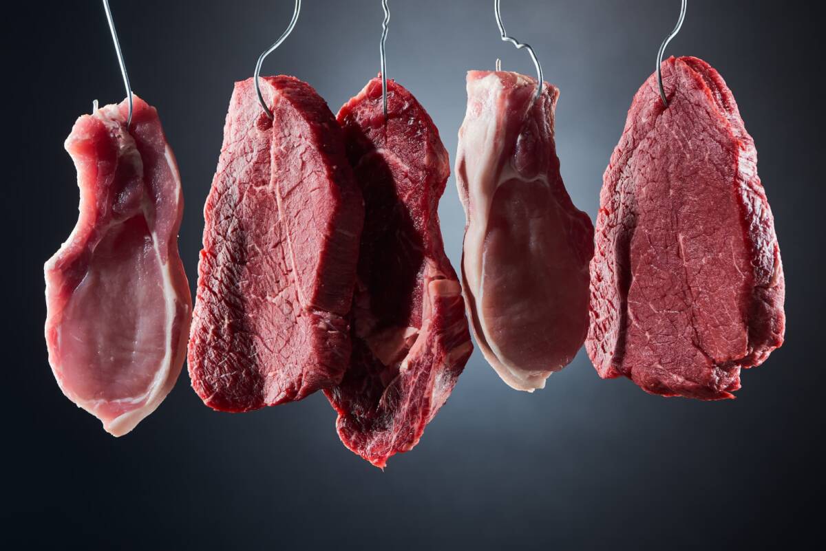 VENTE VIANDE 100 SALERS 2 | Ferme De Merlinsol Colis de viande barbecue secteur Château-Salins, Lunéville, Nancy et Metz Maxéville 2